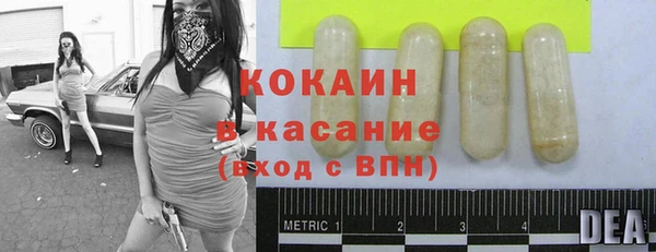 индика Карталы