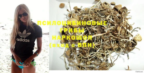 крисы Киренск