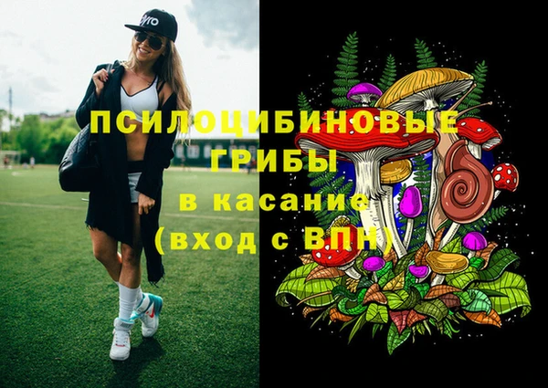 индика Карталы