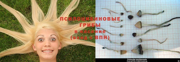 амф Карпинск
