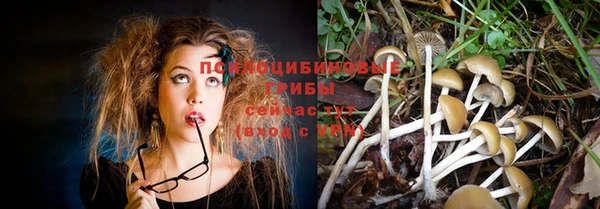 мет Кинешма