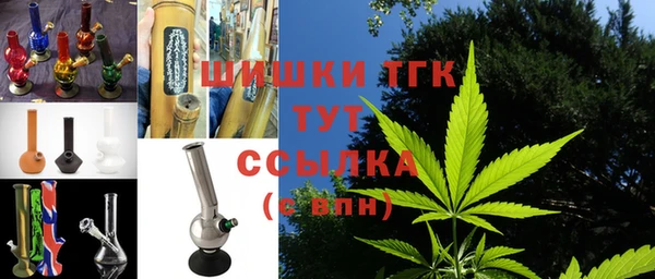 индика Карталы