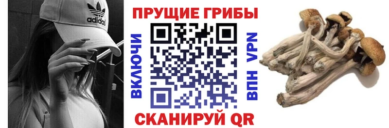 Купить где  Нязепетровск  Галлюциногенные грибы мицелий 